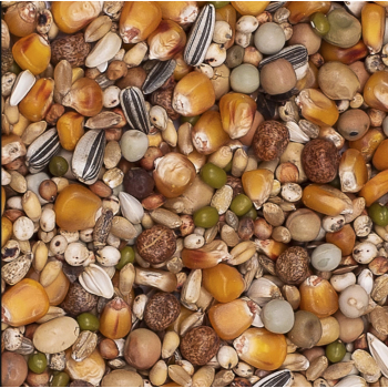 BEYERS - Premium Mauser Super - 20kg + 2kg gratis! (pierzeniowa super)